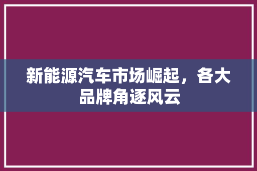 新能源汽车市场崛起，各大品牌角逐风云