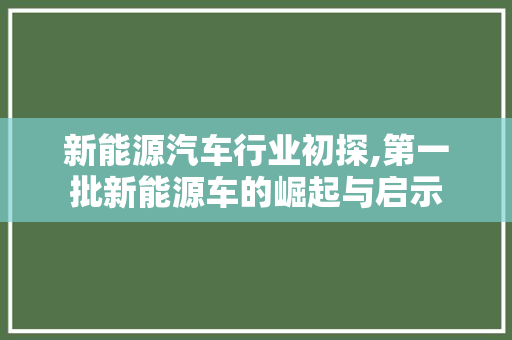 新能源汽车行业初探,第一批新能源车的崛起与启示