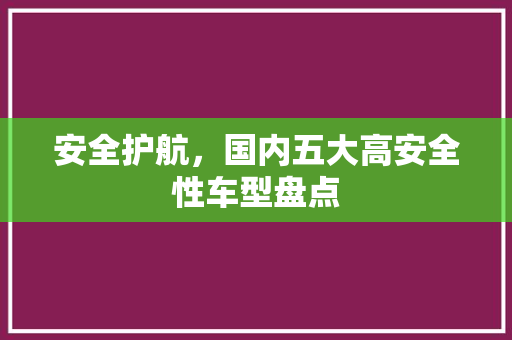 安全护航，国内五大高安全性车型盘点