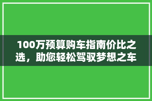 100万预算购车指南价比之选，助您轻松驾驭梦想之车