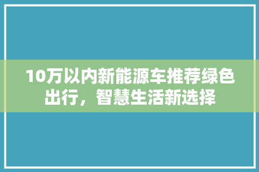10万以内新能源车推荐绿色出行，智慧生活新选择