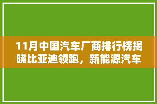 11月中国汽车厂商排行榜揭晓比亚迪领跑，新能源汽车崛起