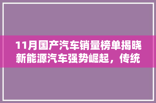 11月国产汽车销量榜单揭晓新能源汽车强势崛起，传统车企稳扎稳打