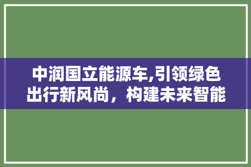 中润国立能源车,引领绿色出行新风尚，构建未来智能交通生态