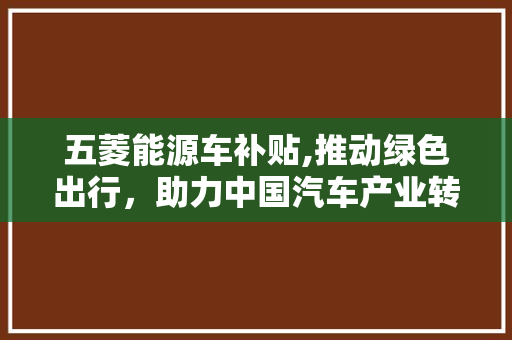 五菱能源车补贴,推动绿色出行，助力中国汽车产业转型