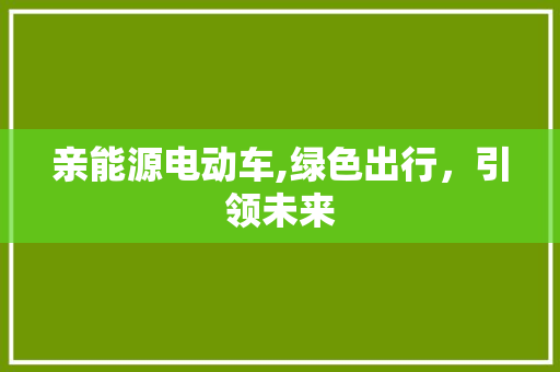 亲能源电动车,绿色出行，引领未来