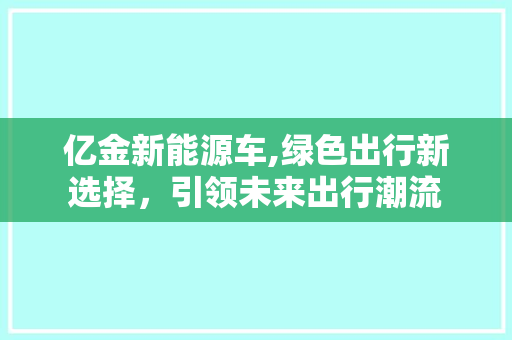 亿金新能源车,绿色出行新选择，引领未来出行潮流
