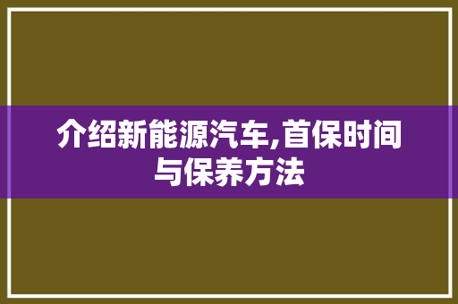 介绍新能源汽车,首保时间与保养方法
