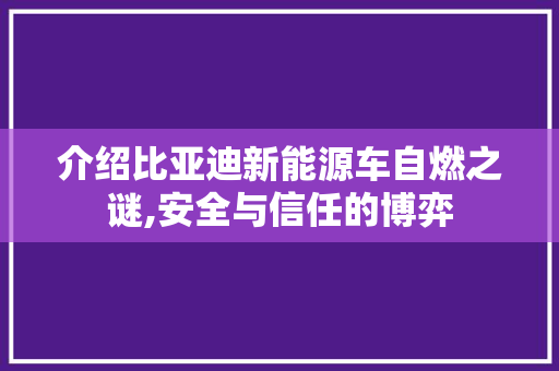 介绍比亚迪新能源车自燃之谜,安全与信任的博弈