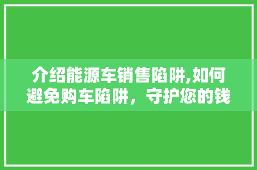 介绍能源车销售陷阱,如何避免购车陷阱，守护您的钱包