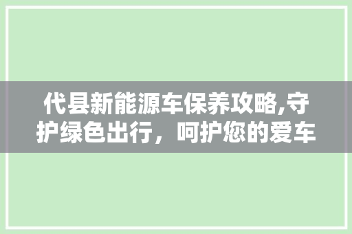 代县新能源车保养攻略,守护绿色出行，呵护您的爱车