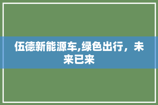 伍德新能源车,绿色出行，未来已来
