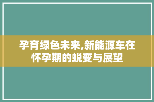 孕育绿色未来,新能源车在怀孕期的蜕变与展望