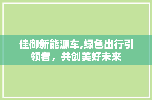 佳御新能源车,绿色出行引领者，共创美好未来