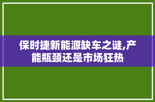 保时捷新能源缺车之谜,产能瓶颈还是市场狂热