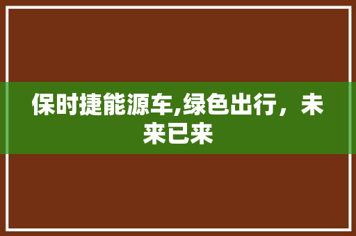 保时捷能源车,绿色出行，未来已来