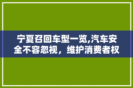 宁夏召回车型一览,汽车安全不容忽视，维护消费者权益在行动