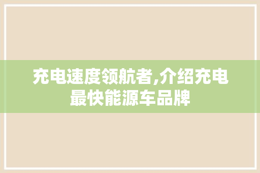 充电速度领航者,介绍充电最快能源车品牌