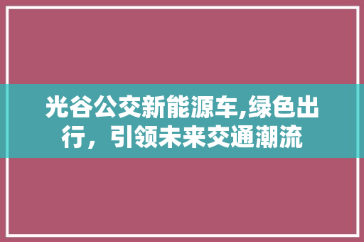 光谷公交新能源车,绿色出行，引领未来交通潮流