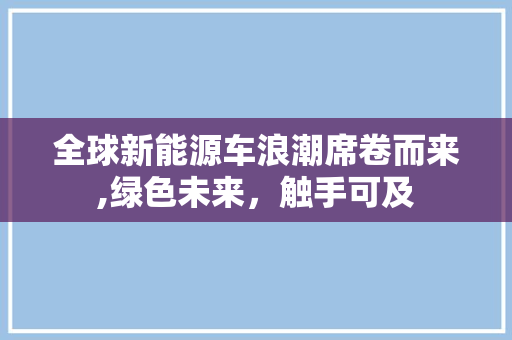 全球新能源车浪潮席卷而来,绿色未来，触手可及