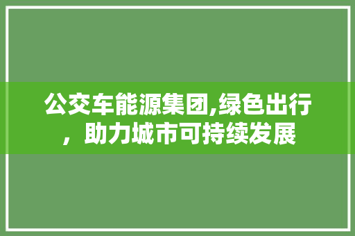 公交车能源集团,绿色出行，助力城市可持续发展