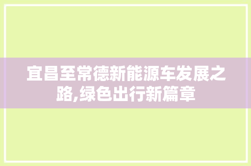 宜昌至常德新能源车发展之路,绿色出行新篇章