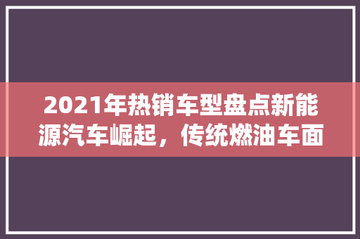 2021年热销车型盘点新能源汽车崛起，传统燃油车面临挑战