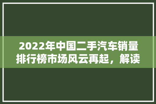 2022年中国二手汽车销量排行榜市场风云再起，解读二手车市场的崭新格局