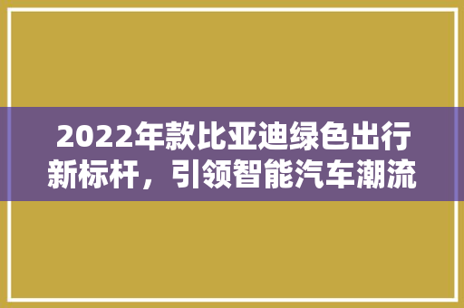 2022年款比亚迪绿色出行新标杆，引领智能汽车潮流
