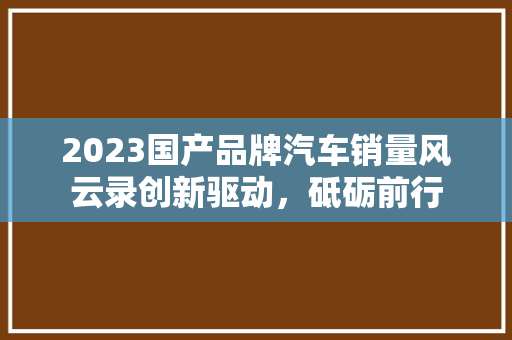 2023国产品牌汽车销量风云录创新驱动，砥砺前行