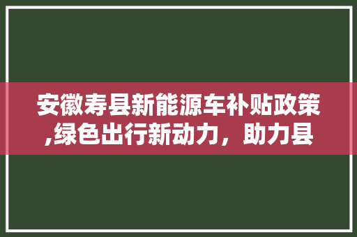 安徽寿县新能源车补贴政策,绿色出行新动力，助力县域经济腾飞