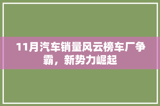 11月汽车销量风云榜车厂争霸，新势力崛起