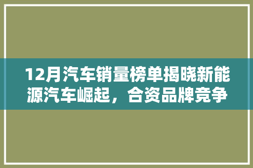 12月汽车销量榜单揭晓新能源汽车崛起，合资品牌竞争激烈