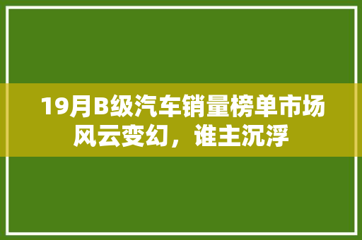 19月B级汽车销量榜单市场风云变幻，谁主沉浮