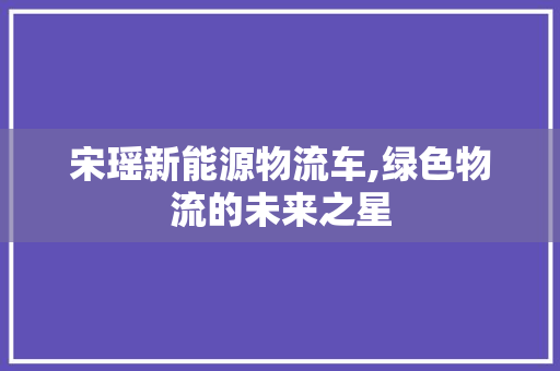 宋瑶新能源物流车,绿色物流的未来之星