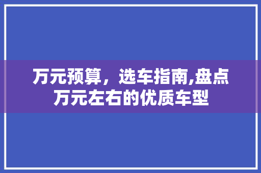 万元预算，选车指南,盘点万元左右的优质车型