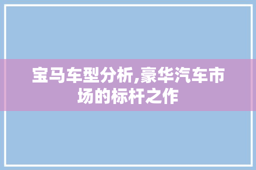 宝马车型分析,豪华汽车市场的标杆之作