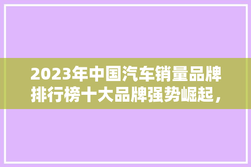 2023年中国汽车销量品牌排行榜十大品牌强势崛起，引领行业新风向