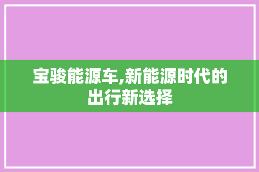 宝骏能源车,新能源时代的出行新选择