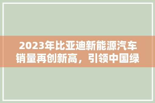 2023年比亚迪新能源汽车销量再创新高，引领中国绿色出行新潮流