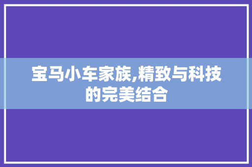 宝马小车家族,精致与科技的完美结合