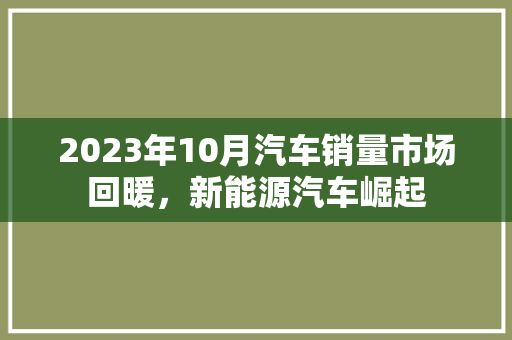 2023年10月汽车销量市场回暖，新能源汽车崛起
