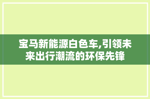 宝马新能源白色车,引领未来出行潮流的环保先锋