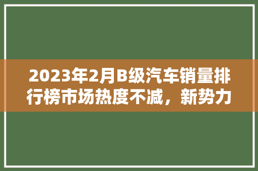 2023年2月B级汽车销量排行榜市场热度不减，新势力崛起