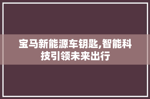 宝马新能源车钥匙,智能科技引领未来出行