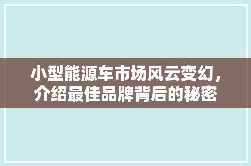 小型能源车市场风云变幻，介绍最佳品牌背后的秘密
