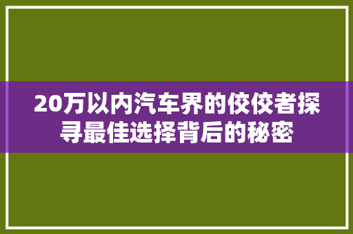 20万以内汽车界的佼佼者探寻最佳选择背后的秘密