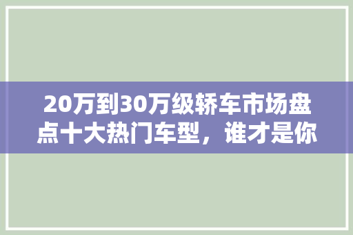 20万到30万级轿车市场盘点十大热门车型，谁才是你的最佳选择