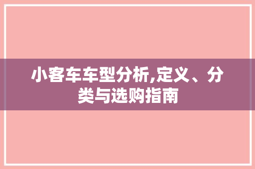 小客车车型分析,定义、分类与选购指南