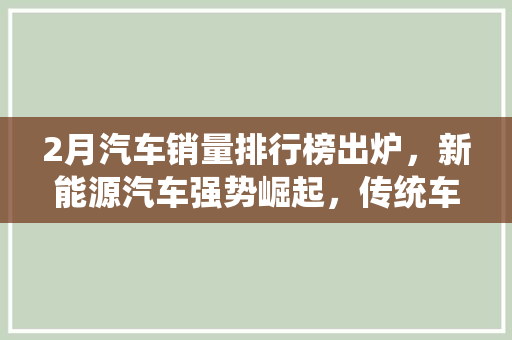 2月汽车销量排行榜出炉，新能源汽车强势崛起，传统车企面临挑战